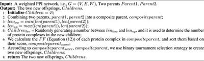 An Improved Memetic Algorithm for Detecting Protein Complexes in Protein Interaction Networks